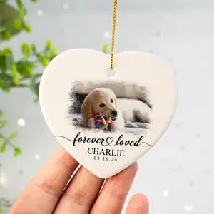 Forever Loved Dog Memorial Ornament 2025, Custom Pet Ornament Using Photo, Cat Picture Ornament, Pet Portrait Name Gift, Dog Loss Gift Tags