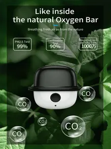 Mini negative ion air purifier! Prevent allergens, relieve hay fever, create your own portable forest oxygen bar, and a mobile air purifier.