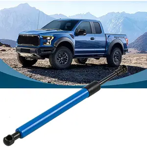 Truck Tailgate Assist Shock Kit Compatible with 2015-2019 Ford F150 Pickup