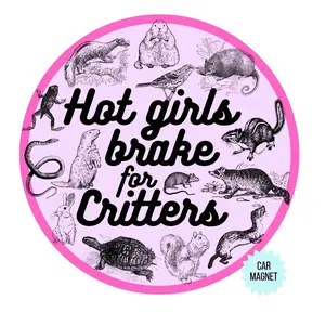 Hot Girls Brake for Critters Letter Pattern Car Sticker, Funny Car Decal, Weatherproof Outdoor Cute Stickers for Car, Laptops, Bumper, Motorcycle, Truck, Car Decorations, Sticker for Cars