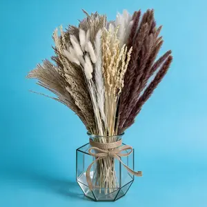 Dorm Room Upgrade: Dried Pampas Grass