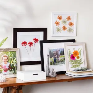 63 Pack Natural Pressed Flowers Dried Leaves Daisies for DIY Candles Resin Jewellery Nail Pendants Party Supplies Automotive Motorcycle Decorations with Tweezers Included