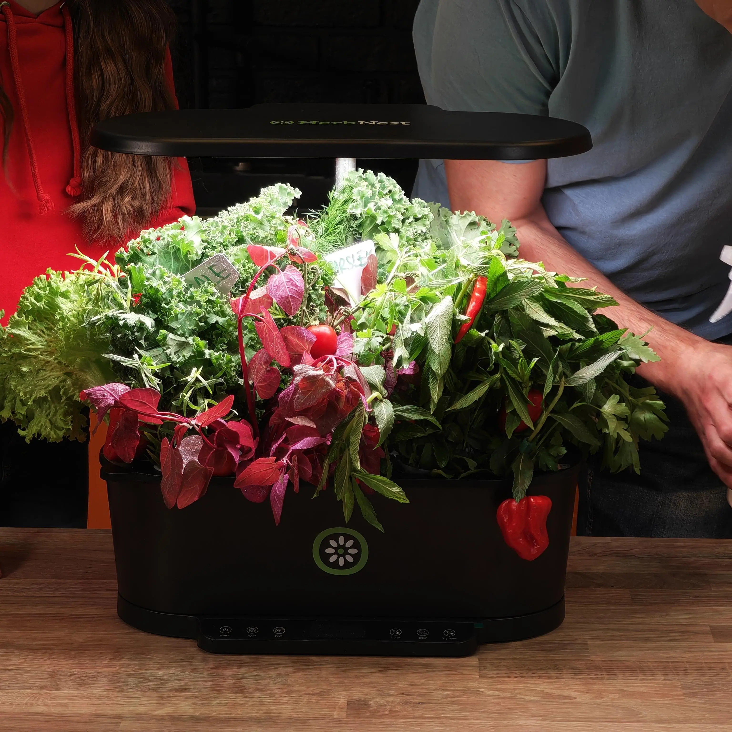 Herb Nest Kit with App | Grow Plants & Vegetables at Home with No Soil & No Mess | Ultra-Fast Hydrophonic System Hydroponic Growing Tent Grow Light