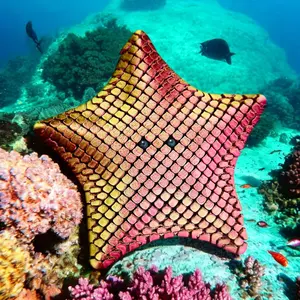 Floppy Starfish Figurine. Perfect for tossing, flopping, bending and fidgeting