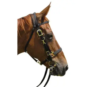Nylon Combination Horse Halter Bridle with Reins – Jeffers Tack