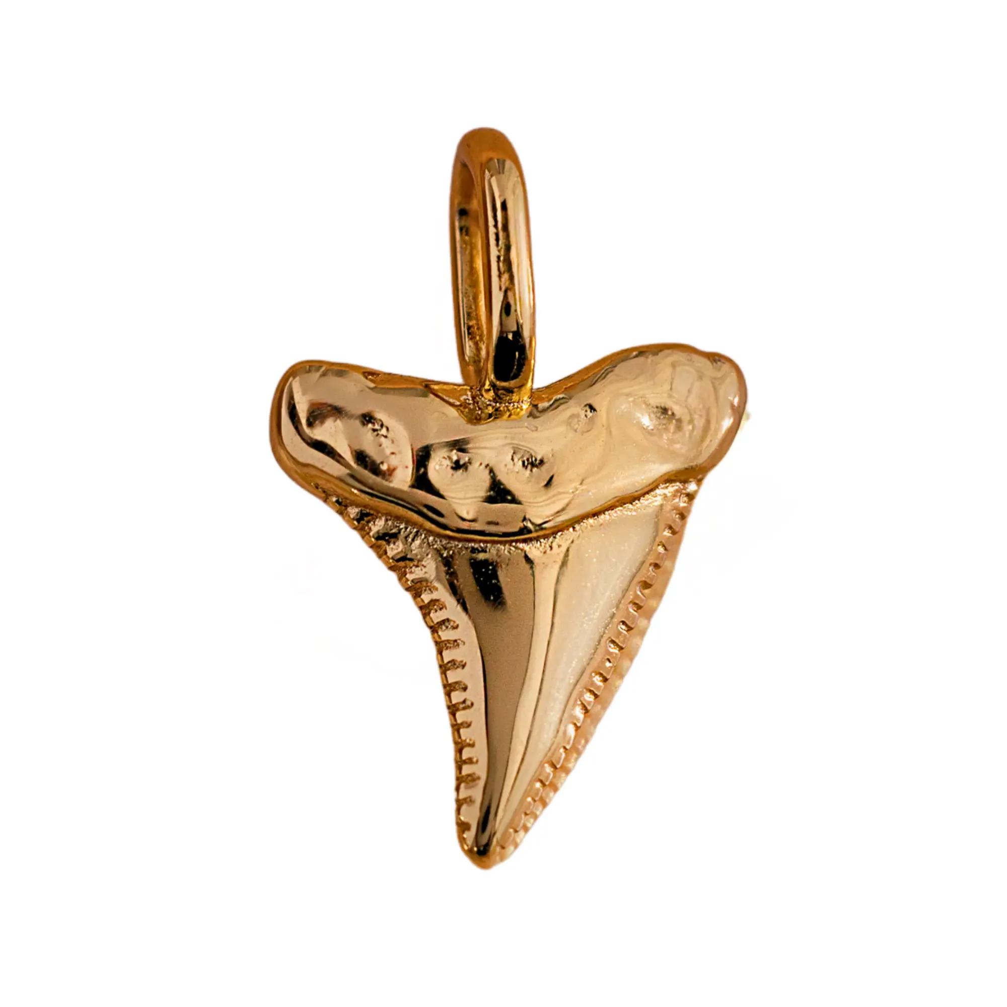 R. Shark Tooth Charm