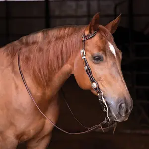 Schneiders One Ear Diamond Tooled Two-Tone Silver Concho Ranch Headstall