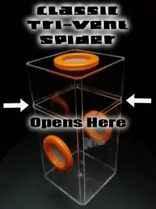 B-STOCK Classic Tri-Vent Spider Condo Jumping Spider Enclosure (holds fruit flies)