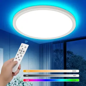 RGB Ceiling Light with Remote Control, Adjustable Brightness, Ip44 Waterproof, Dimmable Panel Lamp, Warm Temperature 3000-6500k