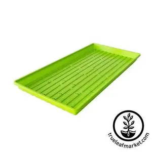1020 Heavy Duty Microgreens Trays - With Holes - Green - Shallow