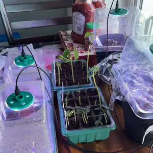 Seed Starting Tray Set with Grow Light, Adjustable Humidity Dome, Mini Greenhouse for Indoor Plants, 8 Full Spectrum Leds, Durable Growing Tray #GLOBAL PICKS