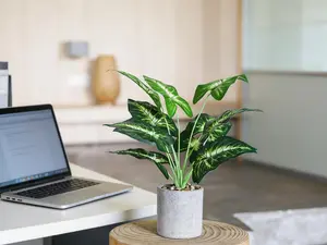 16-inch small artificial tropical plant. Realistic faux greenery for indoor decoration, suitable for desks, shelves, home, office and kitchen styling.