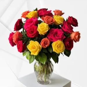 24 Eternal Bloom Mixed Roses – Two Dozen Premium Roses in a Stunning Array of Colors