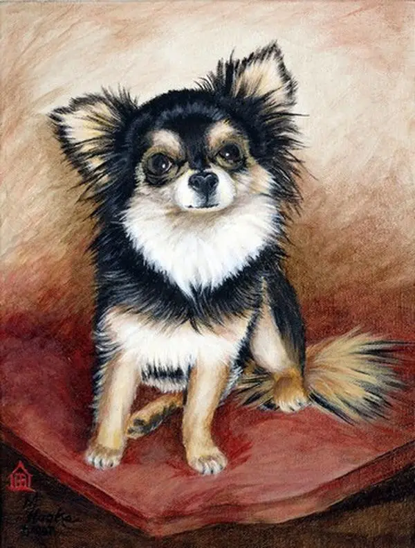 Long-Haired Chihuahua Polyester Garden Flag, Double-Sided, Weatherproof Garden Decor for Home Improvement, 11X15 In