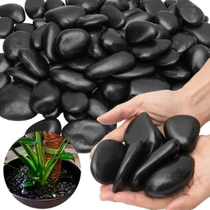 Large Polished Black Pebbles 1-2 Inch 15 Pound Decorative Stones for Plants Garden Landscaping Aquarium and Home Decor