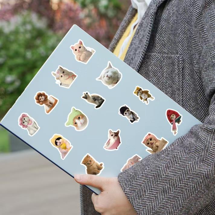 100PCSFunny Cat Meme Stickers for Adults,  Cute Cat Expression Waterproof Vinyl Stickers Pack for Water Bottle, Laptop, Scrapbook, Luggage, Pet Animals Decals, Party Supplies