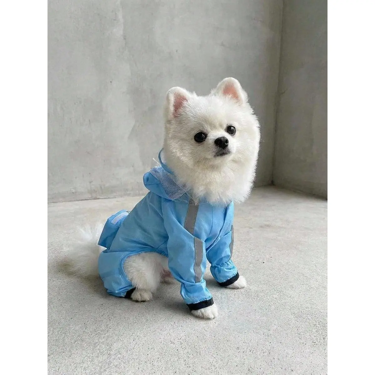 PETSIN Waterproof Polyester Plaid Dog Raincoat Set - Full-Coverage Waterproof Coat, Reflective Strips, Anti-Slip Booties, Carry Bag - Blue Outdoor Travel Suit for Puppies