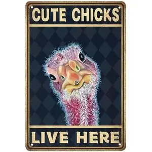 Funny Chicken Coop Sign - Vintage Chicken Coop Accessories - Gifts for Chicken Feeder & Chicken Lovers - Funny Chicken Decor Signs for Chicken Nesting Box