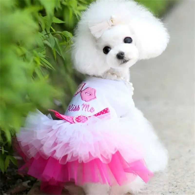 strapless open back dress Mila & Rose Puppy Party Pocket Twirl Dress, 12-24M