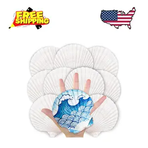 10PCS Large Scallop Shells for Crafts, 4-5 Inch Natural Sea Shells