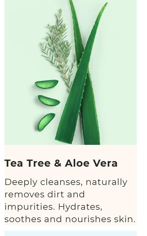 [Buttah Skin] Tea Tree Exfoliating Scrub for Clear, Balanced Skin Skincare with/Aloe for Oily Skin