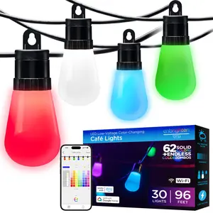Enbrighten VIBE WiFi Color-Changing LED Cafe Lights 30 Plastic Bulbs 96ft Black Cord Smart Lighting with App Control & Voice Commands for Year-Round Use