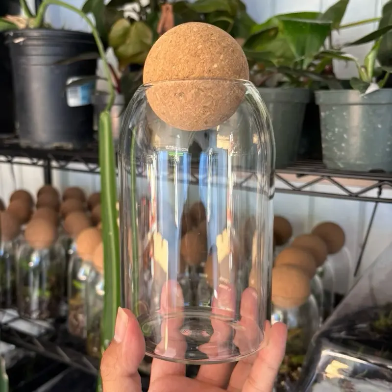 Cork ball terrarium