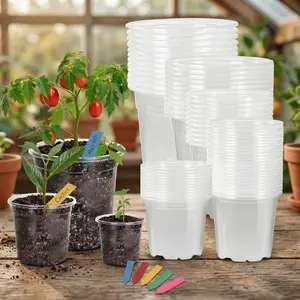 60 Pack Clear Pots with Drainage Holes, 3.5/4/5/6/7 Inch Clear Plastic Pots for Plants, Reinforced Transparent Pot with 60 Colorful Plant Labels for Nursery, Pet-friendly, Easy Care Plant Grow Cat Succulent Arrangement Paper Mache Planter
