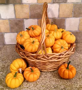TomorrowSeeds - Jack Be Little Pumpkin Seeds -  Miniature Orange Pumpkins Untreated Mini Baby Squash Vegetable Seed For 2024 Season