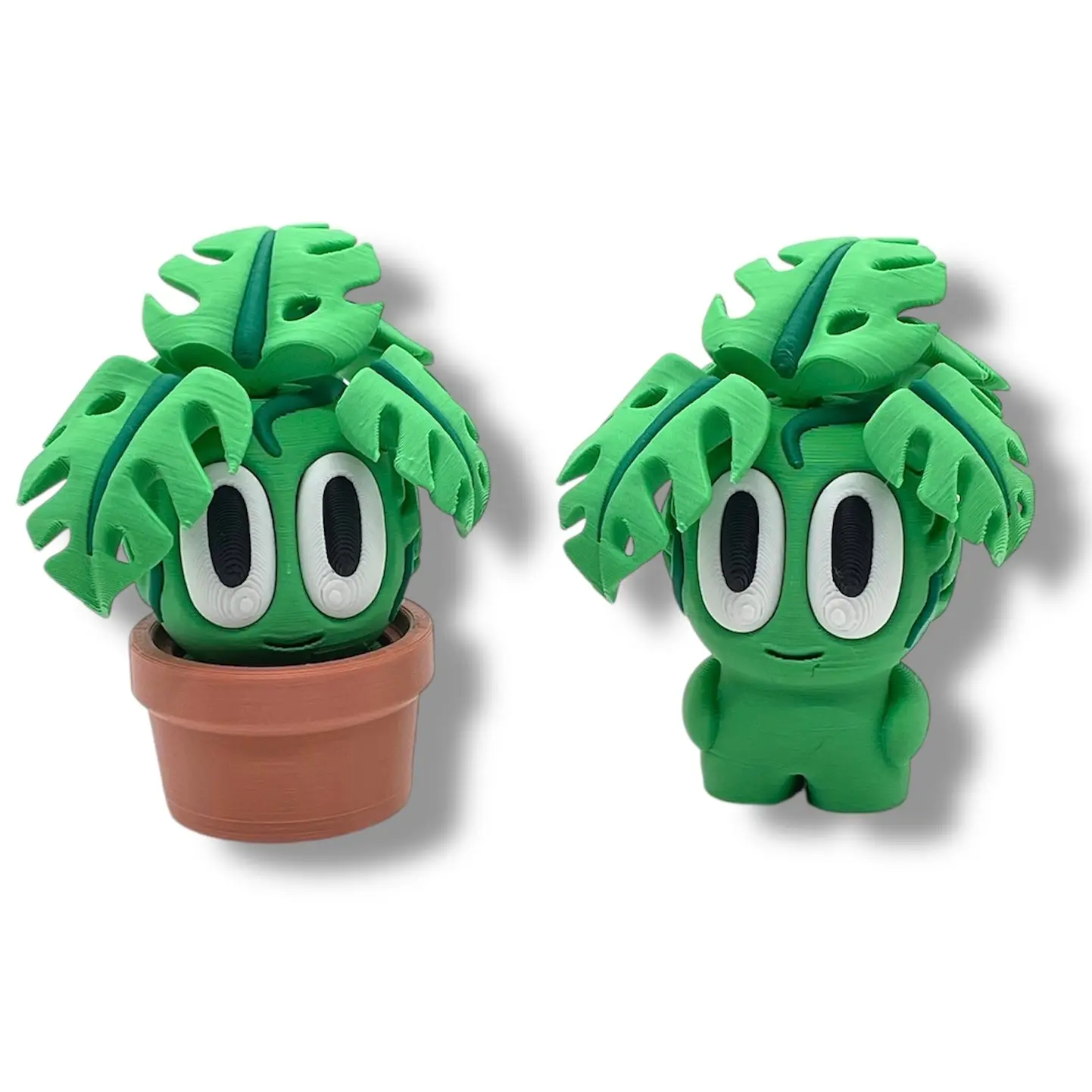 SMALLZ Monstera Plant