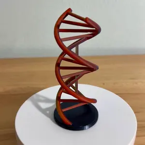 3D Printed Rainbow DNA
