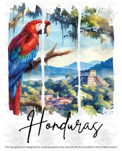 Honduras Guacamaya #1 DTF Transfer