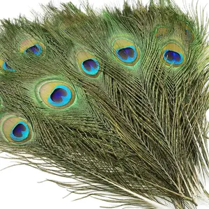 10 count Real  Peacock Eye Feathers 10-12 inch for DIY Craft Floral Arrangements,Wedding, and Party Decorations Feathers,