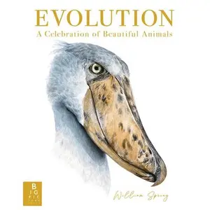Evolution: A Celebration of Beautiful Animals -- William Spring, Hardcover