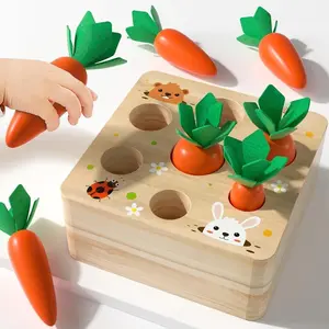Z-ITC4 Montessori Toys for Babiespreschool Learning Months, Splicing Building Blocks, Educational Carrot Vegetable Harvest Toy for Toddlers, Size Shape Sorting Matching Puzzle