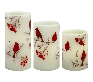 LumaBase Wax Candles with Cardinal Design Set of 3