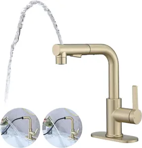 Bathroom Sink Faucet with Pull Out Sprayer Single Handle Modern Bathroom Basi...