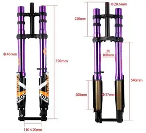 ALX13RC (2.0) FastAce Fork for E-Moto