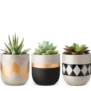 Mkono Cement Succulent Planter Set of 3 Concrete Plant Pots - Modern Flower Pot for Home Garden