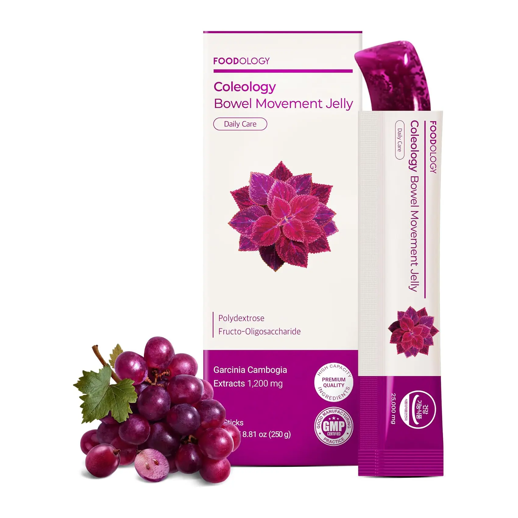 FOODOLOGY Coleology Bowel Movement Jelly (Grape & Prune) – Prebiotic Fiber Supplement for Gut Health & Daily Regularity, Chia Seeds, Korean Supplement – 10 Sticks