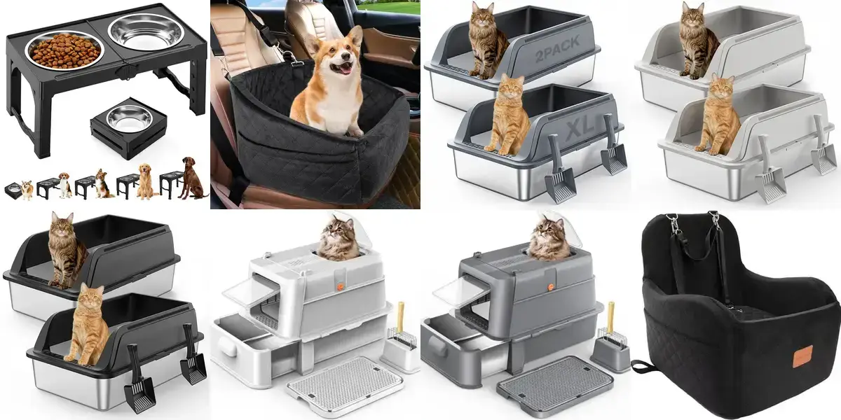 background preload poster image 