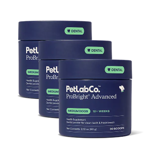 3x ProBright Advanced Dental Powder - Helps Reduce Bad Breath, Clean Teeth and Target Tartar Buildup. Backed by Two Clinical Studies 3x ProBright Advanced Dental Powder - Helps Reduce Bad Breath, Clean Teeth and Target Tartar Buildup. Backed by Two Clinical Studies