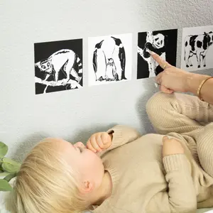 High‑Contrast Baby Visual Cards – Restickable, Montessori‑Inspired, 0–6 Month Sensory Stimulation