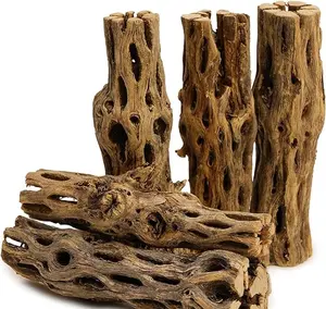 Natural Cholla Wood | 5 Pieces of 5-6" Long Natural Cholla Wood for Aquarium Decoration, Hermit Crabs, Shrimp