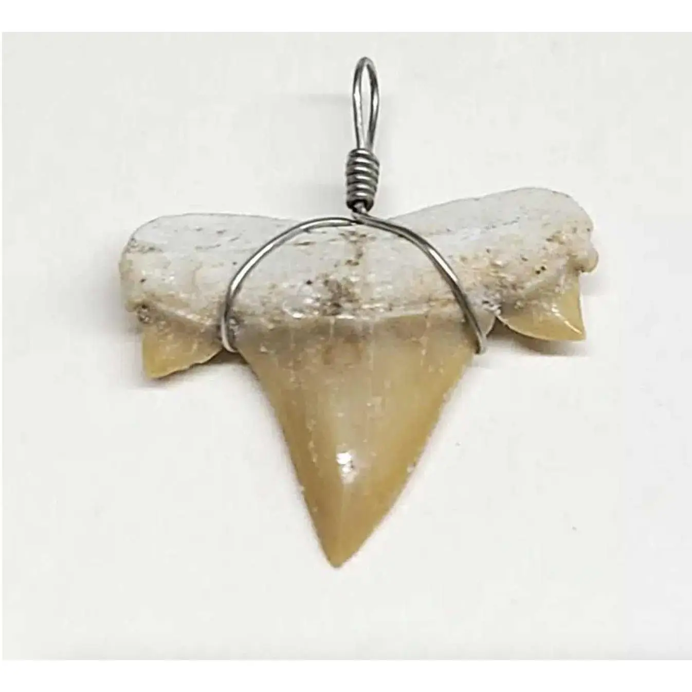 Shark Tooth Necklace Shark Tooth Necklace