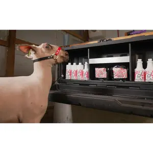 The YAK BOX