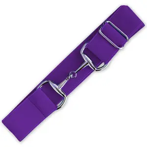 Purple Amethyst Elastic Equestrian Belt