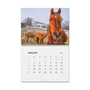 P'Nut's Freedom Farm Wall Calendar 2026 with Vibrant Animal Photography and Writable Matte Grids for Easy Appointment Tracking 11x8.5 or 14x11.5 Sizes