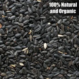 12lb Black Oil Sunflower Seeds – USA-Grown Non-GMO Feed for Birds & Wildlife
