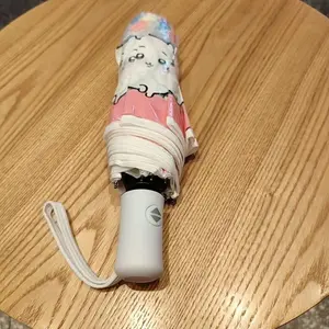 Anime Chiikawa Collapsible Cute Kawaii Usagi Momonga Transparent Umbrella Pretty Fold Automatic Payment Printing LovableStudent